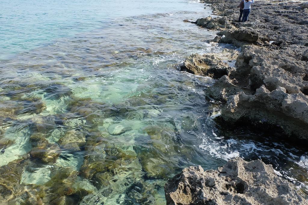 Oasi San Pio Apartment Porto Cesareo Ngoại thất bức ảnh