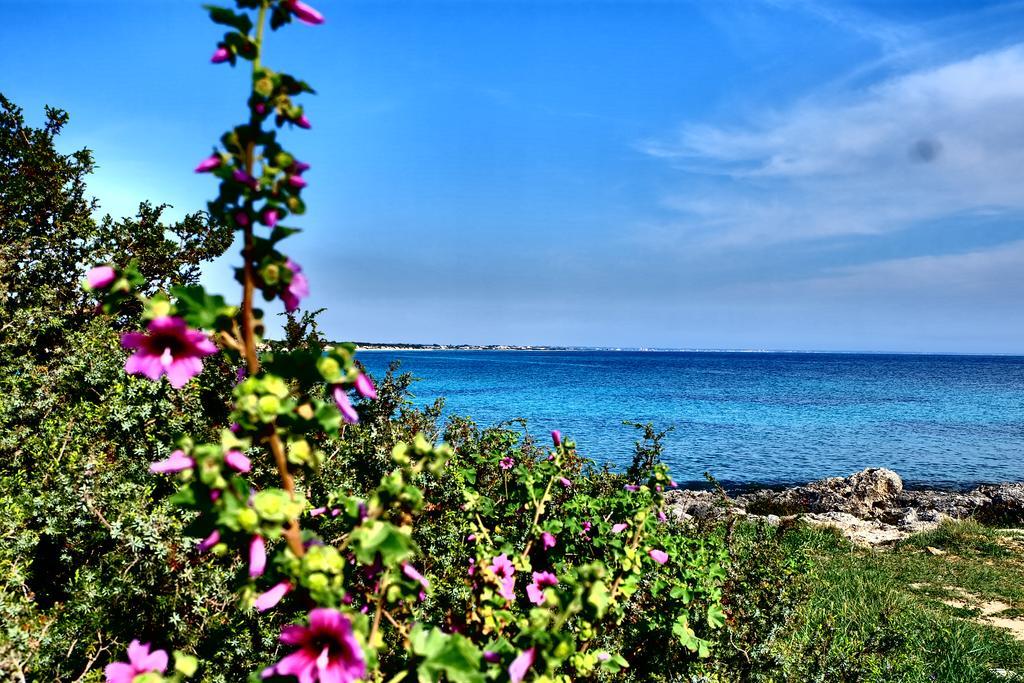 Oasi San Pio Apartment Porto Cesareo Ngoại thất bức ảnh