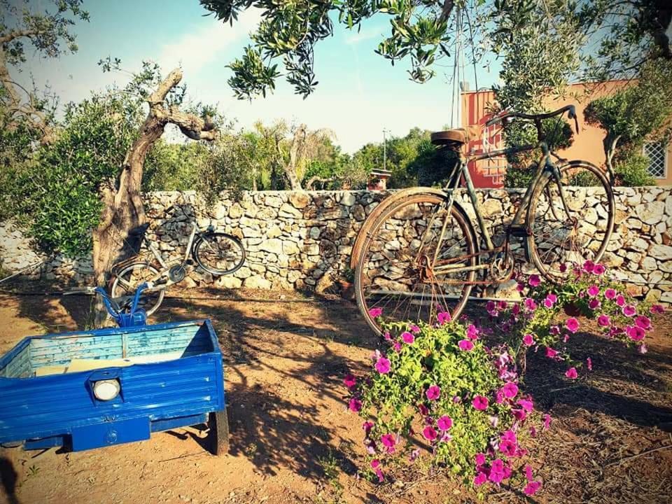 Oasi San Pio Apartment Porto Cesareo Ngoại thất bức ảnh